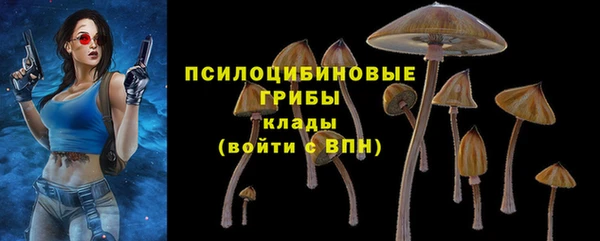молекула духа Горнозаводск
