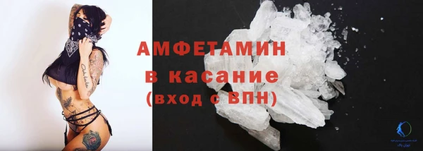 индика Вязьма