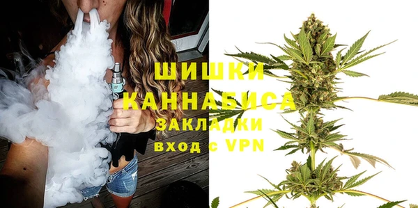 индика Вязьма
