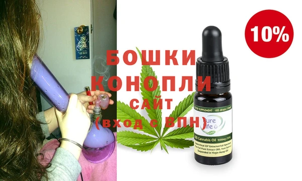 индика Вязьма