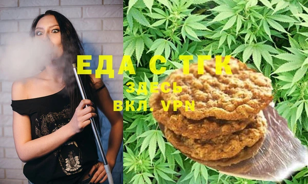 индика Вязьма