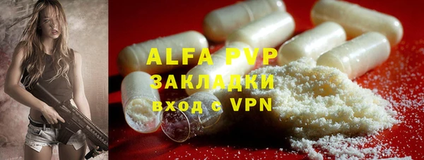 индика Вязьма