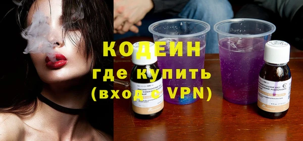 индика Вязьма