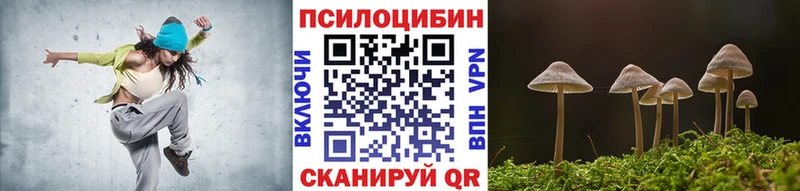 Купить где  Слободской  Галлюциногенные грибы GOLDEN TEACHER 